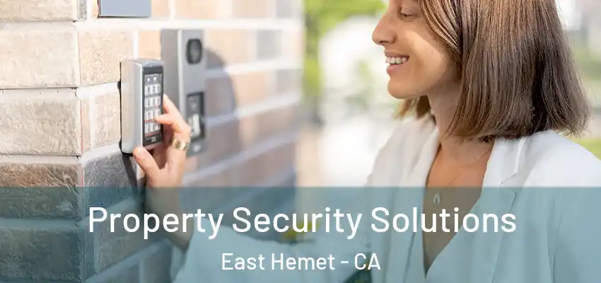 Property Security Solutions East Hemet - CA